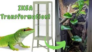 Thumbnail: Lizard Lives in IKEA Furniture Now? | DIY IKEA greenhouse | Turning an Ikea Cabinet into a Terrarium