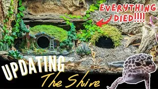 Thumbnail: Everything in my leopard gecko enclosures DIED | Leopard Gecko Bioactive | Bioactive Maintenance