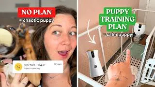 Thumbnail: My Puppy Playpen Setup That Actually Works (Train Faster + Fewer Accidents)