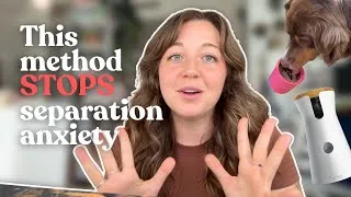 Thumbnail: Dog Cries When You Leave? This Simple Training Method Stops Dog Anxiety!