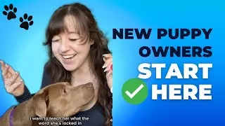 Thumbnail: 5 Easy Tips To Teach Your New Puppy RIGHT NOW!