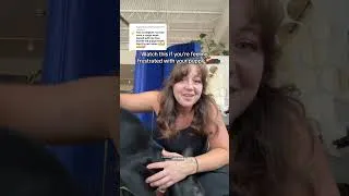 Thumbnail: these comments have made my heart sooo happy, I love you guys!! #dogs