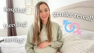Thumbnail: Life And Pregnancy Update | GENDER REVEAL 2022