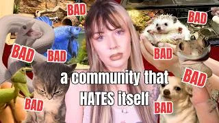 Thumbnail: The Animal Community Hates Itself
