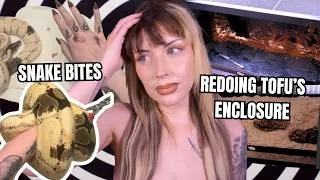 Thumbnail: I NEEDED A Break (Redoing Tofu's Enclosure)
