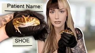 Thumbnail: I Took My Frog to The Vet
