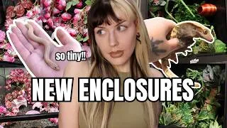 Thumbnail: NEW ENCLOSURES HAVE ARRIVED! | Living With Over 25 Animals