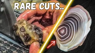 Thumbnail: I Cut RARE Agates and they DID NOT disappoint!!