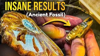 Thumbnail: (Insane Results) Ancient Fossil vs. New Polishing Technique | Art of Lapidary