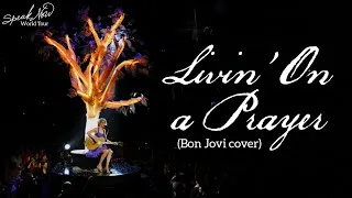 Thumbnail: Taylor Swift - Livin' On a Prayer (Cover) (Live on the Speak Now World Tour)