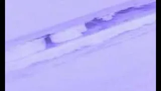 Thumbnail: Michelle Kwan - Feels Like Home To Me