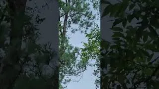 Thumbnail: Fast Moving Summer Storm // July 1, 2026