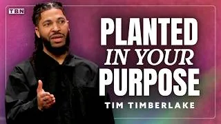 Thumbnail: Your Difficult Season Is a Seed That's Being Planted! | Tim Timberlake Sermon