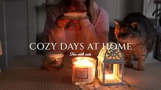 Thumbnail: Cozy days at home ☕ New balcony flowers 🌼 No-bake cheesecake 🍰 Knitting obsession 🧶 Vlog no. 45