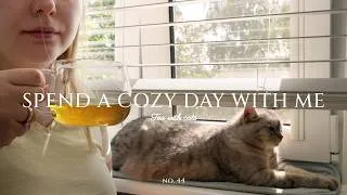 Thumbnail: Spend a cozy day with me ☕ Trip to Poznan 🚗 Mango Korma cooking 🥭🥣 Knitting update 🧶 Vlog no. 44