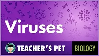 Thumbnail: Viruses