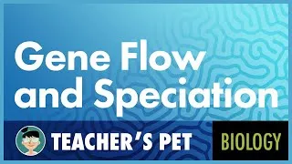 Thumbnail: Gene Flow and Speciation