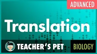 Thumbnail: Translation (advanced)