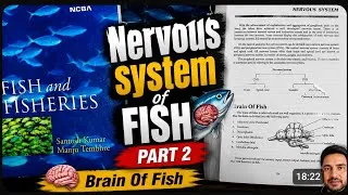 Thumbnail: Fish Brain  Explained | Fish Nervous System Santosh Kumar Fish & Fisheries | Dr. A.R. Lone