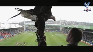 Thumbnail: CRYSTAL PALACE FC | Kayla The Eagle