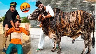 Thumbnail: COW THIEF DHOKEBAAZ CAUGHT BY POLICE 🤬 | FICTION COW VLOG | BAKRA EID 