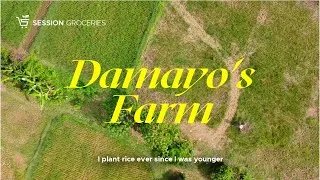 Thumbnail: Damayo's Farm