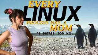 Thumbnail: Linux Process management: ps pstree kill top