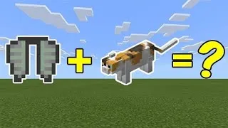 Thumbnail: Cat + Elytra = ????
