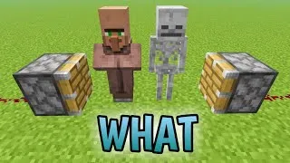 Thumbnail: Skeleton + Villager = ???