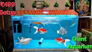 Thumbnail: Giant Aquarium tank setup || Lowest Price Aquarium Tank || 3 Fit Aquarium Setup