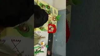 Thumbnail: Diwali laxmi puja vidhi ... by Guruji Vijay Kapse Kannad