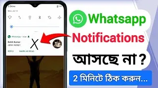 Thumbnail: হোয়াটসঅ্যাপে মেসেজ আসছে, কিন্তু নোটিফিকেশন আসছে না? | How To Solve WhatsApp Notification Problem