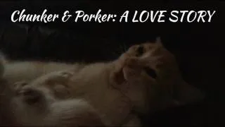Thumbnail: THE MOST ROMANTIC LOVE STORY EVER (PART 2) ft. Cats
