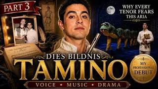 Thumbnail: Tamino's Dies Bildnis Explained | My Professional Debut, Mozart & Vocal Analysis 🇬🇧🇪🇸