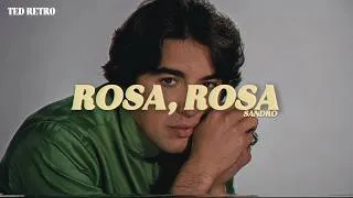 Thumbnail: Sandro - Rosa, Rosa (Letra/Lyrics)