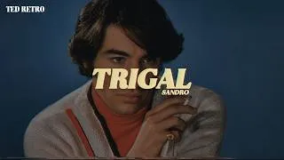 Thumbnail: Sandro - Trigal (Letra/Lyrics)