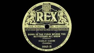 Thumbnail: Charlie Higgins: Down In The Field Where The Buttercups All Grow (1933)