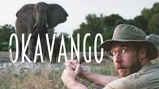 Thumbnail: 6 Days In  Africa - Okavango Delta Botswana