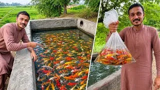 Thumbnail: Boht sari fishes pakar li 😍 Colorfull fishes