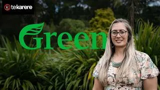 Thumbnail: Green’s political update with Hūhana Lyndon