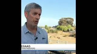 Thumbnail: Estudio revela altos niveles de bacterias en Chollas Creek | TELEMUNDO SAN DIEGO