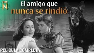Thumbnail: El Amigo que Nunca se Rindió (1950) | Chachita y Alma Delia Fuentes | Película Completa