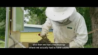 Thumbnail: Telia and BeeLab connecting beehives to save the bees
