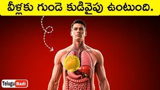 Thumbnail: Heart on the Right Side? Top Interesting Facts in Telugu Badi
