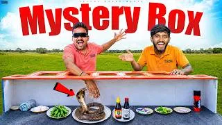 Thumbnail: The Mystery Box Challenge - Blindfold 😅🤣 తప్పు దాంట్లో చెయ్యి పెడితే ఖతం....😲😲 Telugu Experiments
