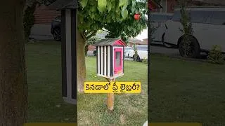 Thumbnail: Free Libraries in Canada? | Take a Book, Leave a Book #ytshorts #fyp #library