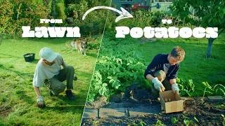 Thumbnail: I Grew Potatoes in My Lawn