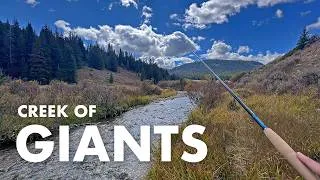 Thumbnail: I Caught a HUGE Trout in This Small Mountain Creek! (Tenkara Fly Fishing)