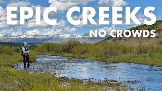 Thumbnail: I Wrote a Book About Finding Creeks to Fish (but There's More...) [Tenkara Fly Fishing]