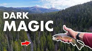 Thumbnail: Fishing a Deep, Dark, Magical Forest in the Rockies (Tenkara Fly Fishing)